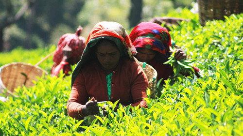 How Do They Do It? Season 14 Episode 4 - Helmets, Tea, District Heating