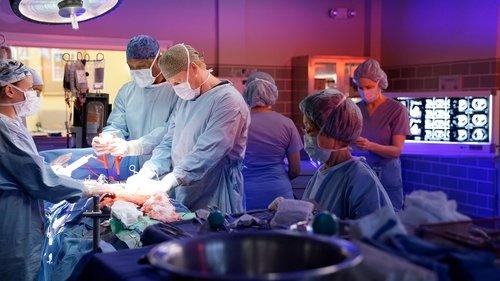 Grey's Anatomy Season 13 Episode 8 - The Room Where It Happens