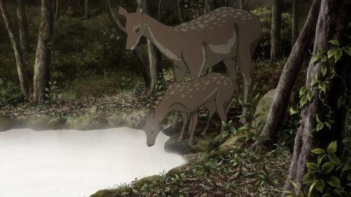 Mushi-Shi Season 2 Episode 9 - Valley of the Welling Tide