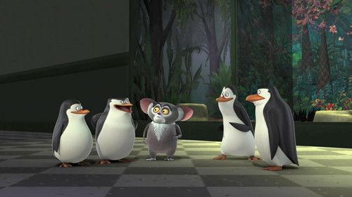 The Penguins of Madagascar Season 3 Episode 19 - Mental Hen