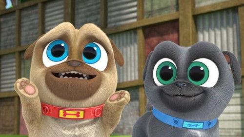 Puppy Dog Pals Season 5 Episode 18 - A Very Taddy Birthday