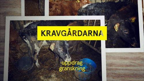Uppdrag granskning Season 21 Episode 1 - The Scania way