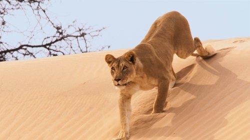 Planet Earth II Season 1 Episode 4 - Deserts
