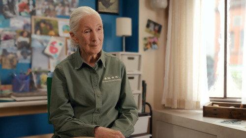 Jane Season 3 Episode 5 - Pan troglodytes