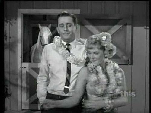 Mister Ed Season 2 Episode 4 - Ed the Redecorator