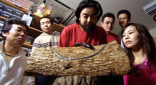 Japanorama Season 2 Episode 5 - Bushido (Samurai Spirit)