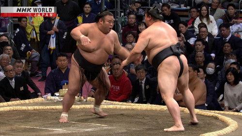 GRAND SUMO Highlights Season 20 Episode 2 - Day 2