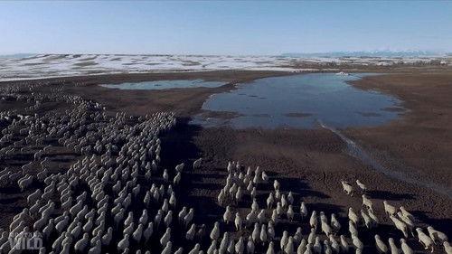 Montana Wild Season 1 Episode 2 - Episode 2