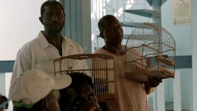 Guyane Season 1 Episode 7 - Pikolet