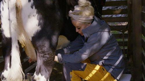 Torpet Kjendis Season 3 Episode 7 - Episode 7