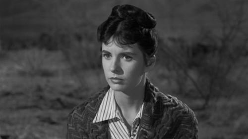 Rawhide Season 1 Episode 9 - Incident of the Town in Terror