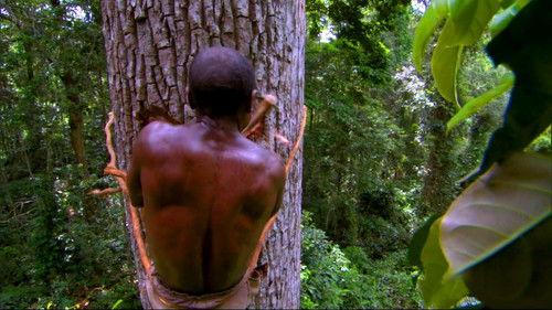 Human Planet Season 1 Episode 4 - Jungles: People of the Trees