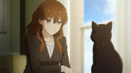 The Ice Guy and His Cool Female Colleague Season 1 Episode 1 - Cherry Blossom Meeting and a Coming Blizzard