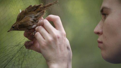 Connected Season 1 Episode 1 - Surveillance