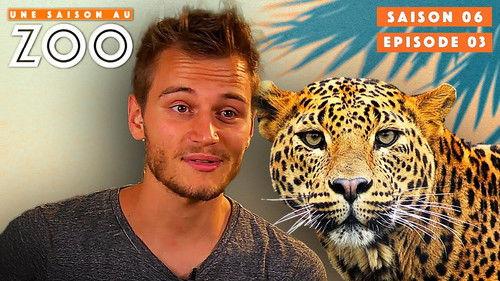 Une saison au zoo Season 6 Episode 3 - Episode 3