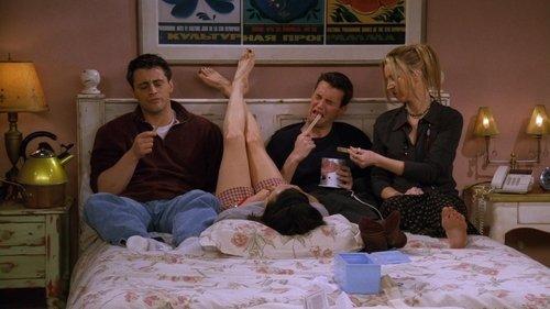Friends Season 3 Episode 16 - The One with the Morning After