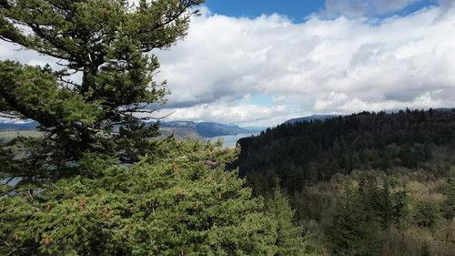 Very Scary People Season 5 Episode 12 - The Happy Face Killer: Part 2