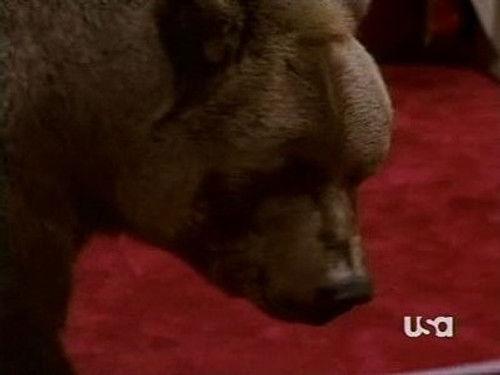 Nash Bridges Season 6 Episode 11 - Bear Trap