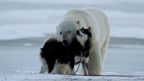 Nature's Weirdest Events Season 2 Episode 1 - Episode 1