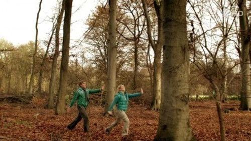 Der letzte Bulle Season 2 Episode 5 - All Roads Lead to You