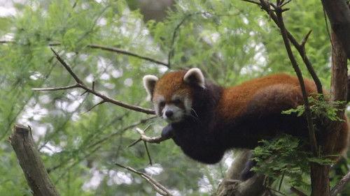 The Zoo Season 4 Episode 1 - A New Beginning