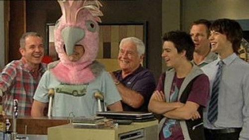 Neighbours Season 27 Episode 18 - Episode 6088