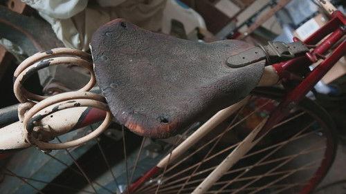 American Pickers Season 21 Episode 10 - Tough As Nails