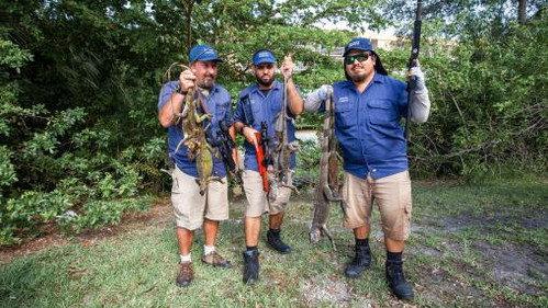 Dirty Jobs Season 10 Episode 6 - Combat Surgeon / Iguana Hunter