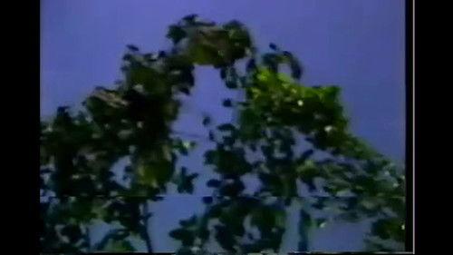 Pili Season 1 Episode 5 - Episode 5