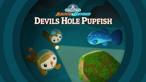 Octonauts: Above & Beyond Season 1 Episode 7 - The Octonauts and the Devil's Hole Pupfish