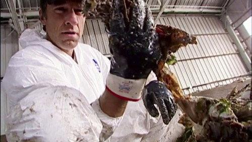 Dirty Jobs Season 2 Episode 9 - Garbage Pit Technician