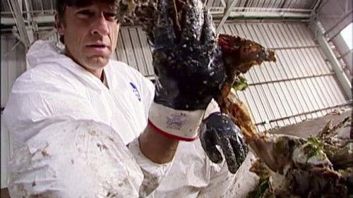 Dirty Jobs Season 2 Episode 9 - Garbage Pit Technician
