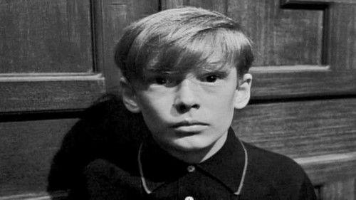 undefined Season 1 Episode 23 - DS-23