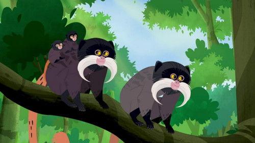 Wild Kratts Season 6 Episode 7 - Mystery of the Mini Monkey Models