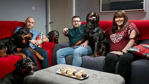 Gogglebox Season 25 Episode 15 - Episode 15