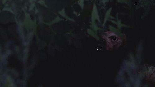 Full Moon Season 1 Episode 1 - Episode 1