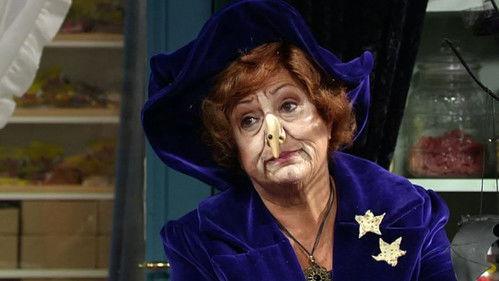 De Kotmadam Season 21 Episode 5 - De stagiair