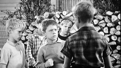 The Andy Griffith Show Season 3 Episode 14 - One-Punch Opie