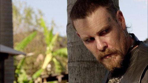 undefined Season 5 Episode 3 - The Loaded Dog