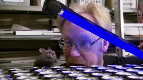 MythBusters Season 7 Episode 22 - Hidden Nasties