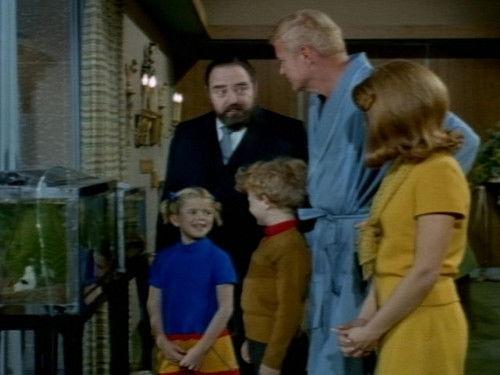 Family Affair Season 2 Episode 19 - The Fish Watchers