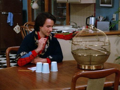 Perfect Strangers Season 5 Episode 23 - Bye, Bye Birdie