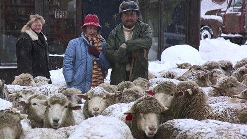 Northern Exposure Season 4 Episode 16 - Ill Wind