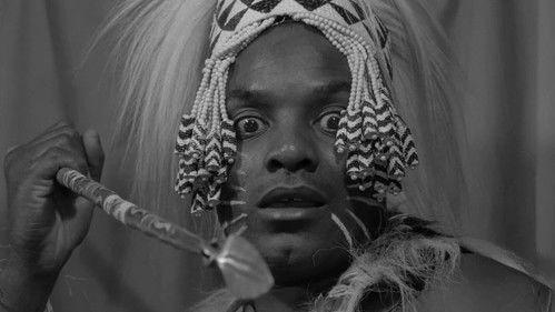 undefined Season 3 Episode 12 - The Jungle