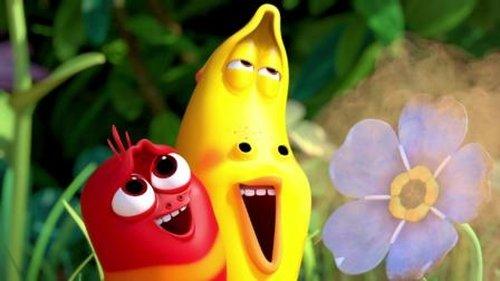 Larva Season 3 Episode 4 - Typhoon