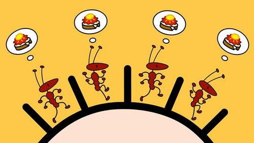 TOM & das Erdbeermarmeladebrot mit Honig Season 3 Episode 2 - Episode 2