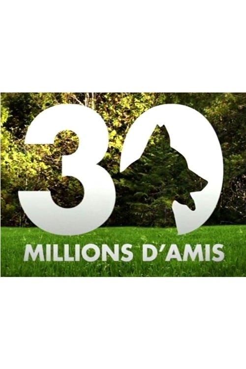 30 millions d'amis poster