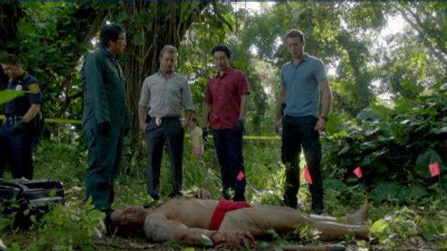 Hawaii Five-0 Season 2 Episode 17 - Kupale (Defender)