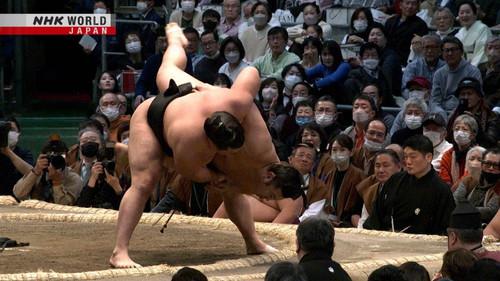 GRAND SUMO Highlights Season 16 Episode 8 - Day 8