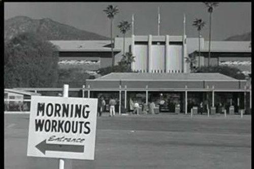 Mister Ed Season 3 Episode 18 - Horse Talk